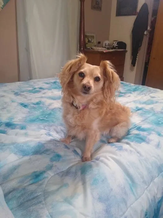 Fairland Veterinary Hospital Picture 5