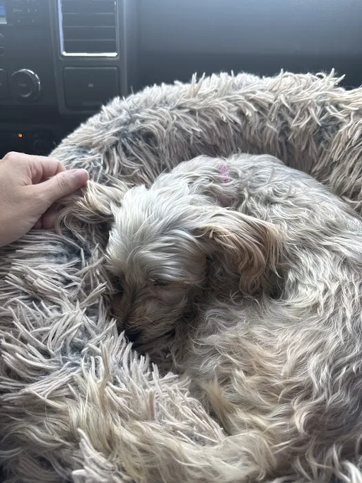 Fairland Veterinary Hospital Picture 6