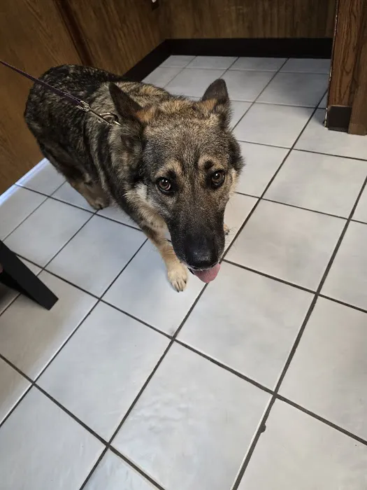 Fairland Veterinary Hospital Picture 8