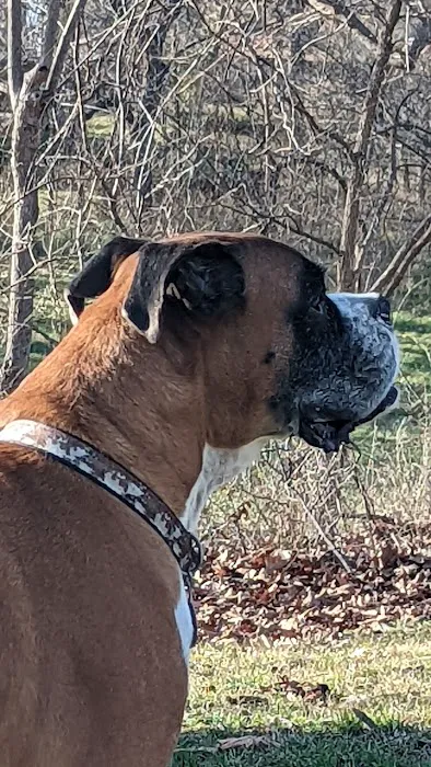 Fairland Veterinary Hospital Picture 10