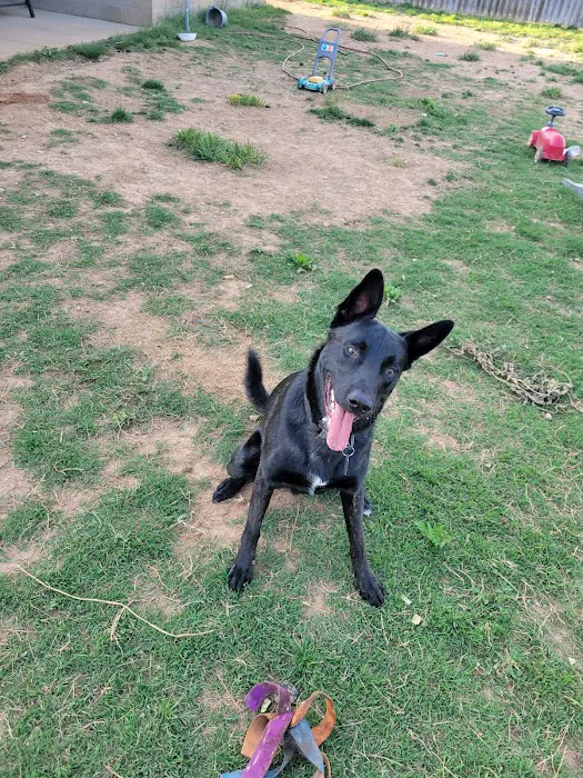 Osage Veterinary Clinic Picture 1