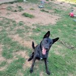 Osage Veterinary Clinic