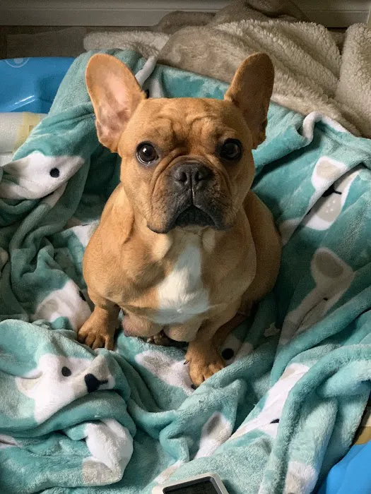 Osage Veterinary Clinic Picture 4