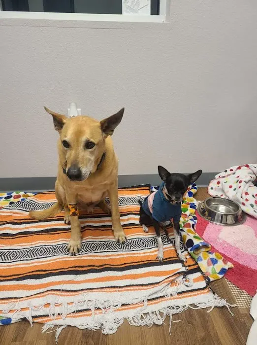 Osage Veterinary Clinic Picture 2