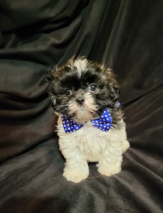 Osage Veterinary Clinic Picture 3