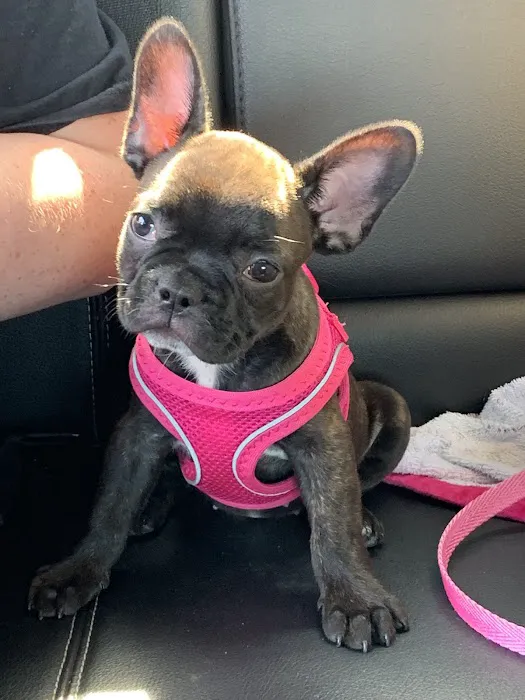 Osage Veterinary Clinic Picture 5