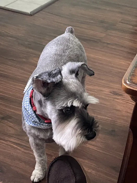 Osage Veterinary Clinic Picture 6