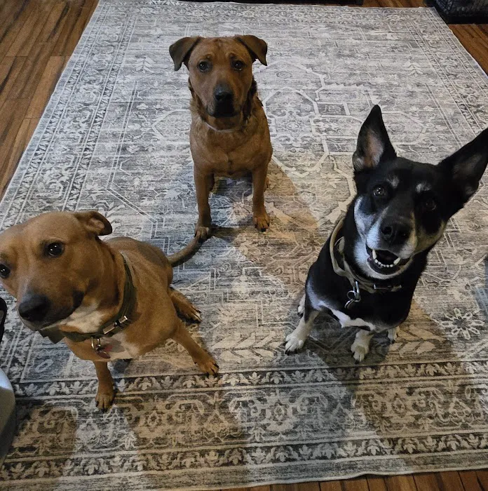 Osage Veterinary Clinic Picture 7