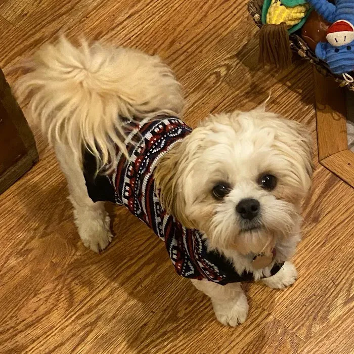 Osage Veterinary Clinic Picture 9