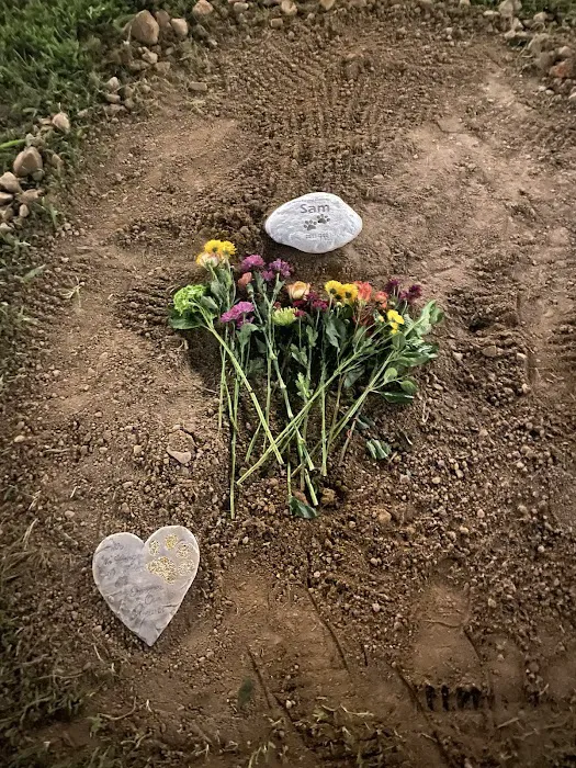 Rose Animal Clinic Picture 6