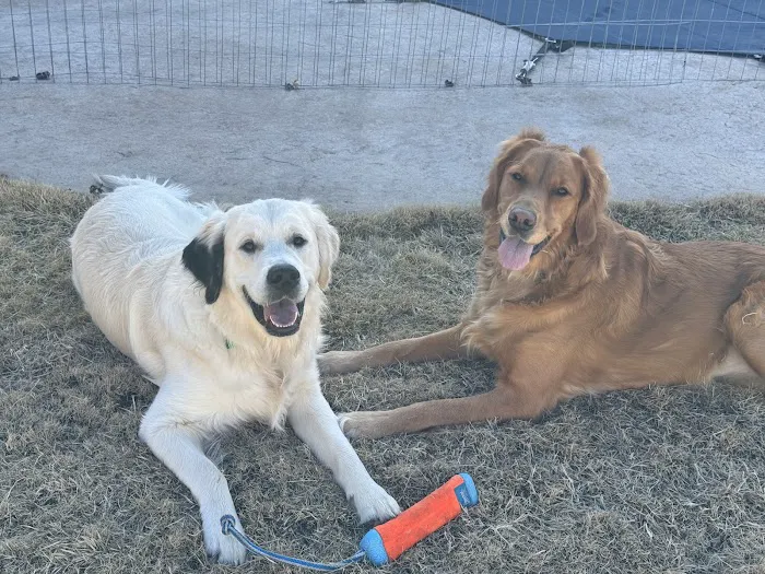 Rose Animal Clinic Picture 9