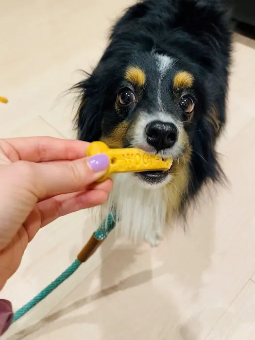 Northwest Arkansas Animal Urgent Care Picture 10