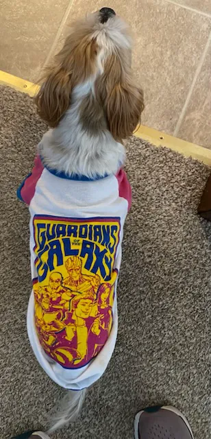 Regional Veterinary Services Picture 8