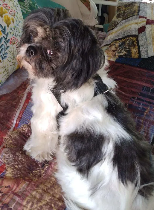 Oswego Veterinary Clinic Picture 3