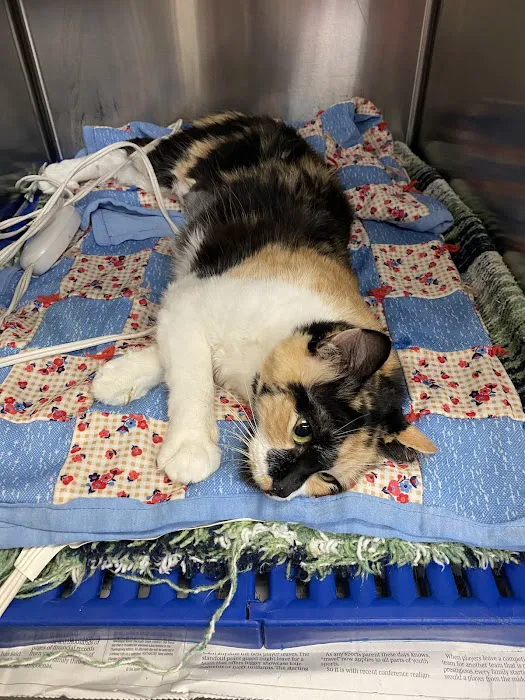 Oswego Veterinary Clinic Picture 2