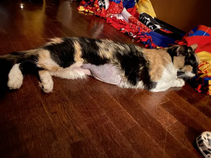 Oswego Veterinary Clinic Picture 5