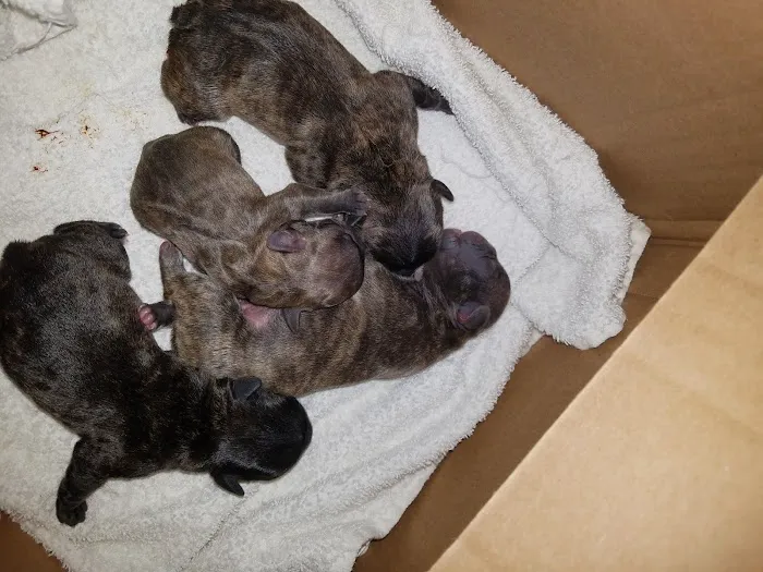 Oswego Veterinary Clinic Picture 4