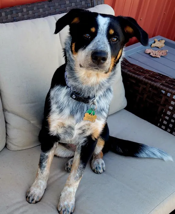 Cherryvale Veterinary Clinic Picture 1