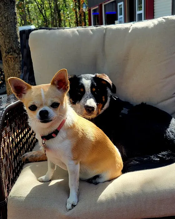 Cherryvale Veterinary Clinic Picture 2