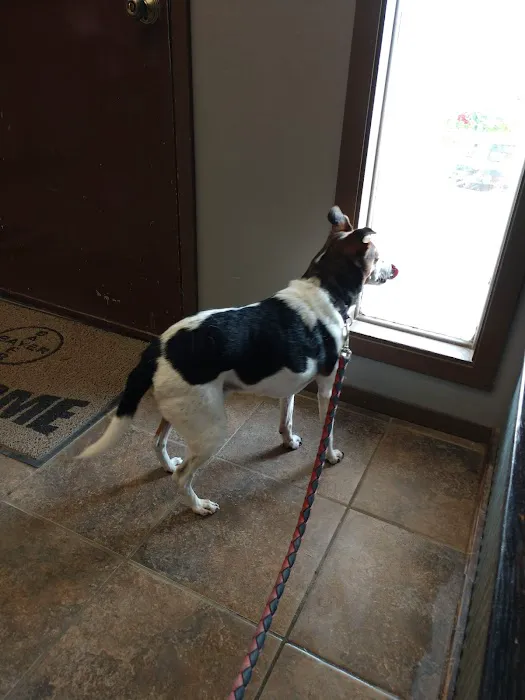 Cherryvale Veterinary Clinic Picture 3