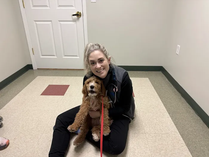 Dogwood Trails Animal Hospital Picture 2