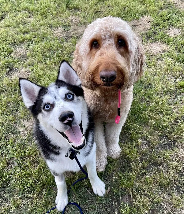 Dogwood Trails Animal Hospital Picture 4