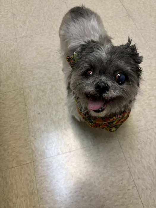 Dogwood Trails Animal Hospital Picture 3