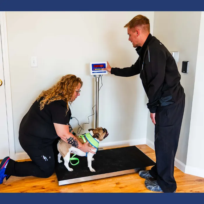 Dogwood Trails Animal Hospital Picture 9