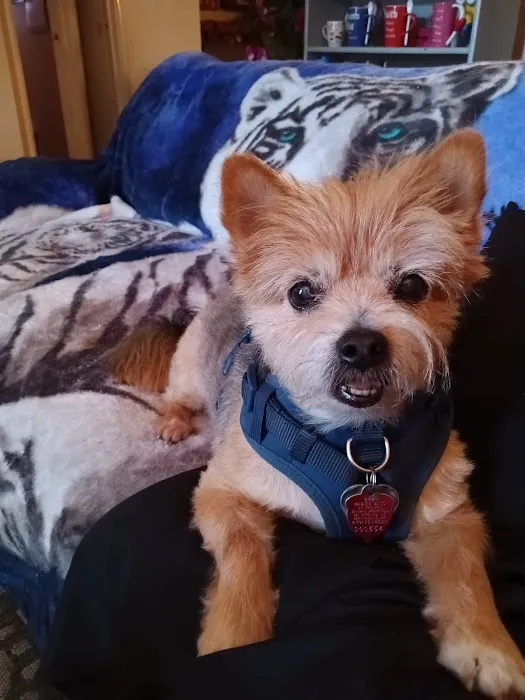 Vetco Total Care Animal Hospital Picture 1