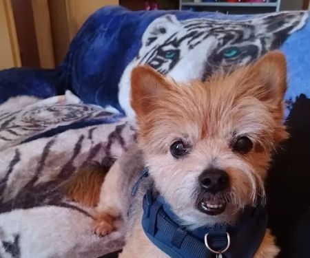 Vetco Total Care Animal Hospital