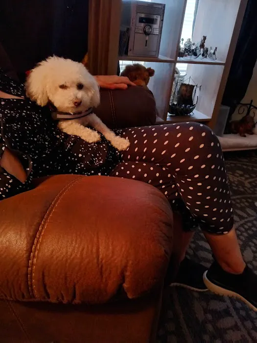 Vetco Total Care Animal Hospital Picture 2