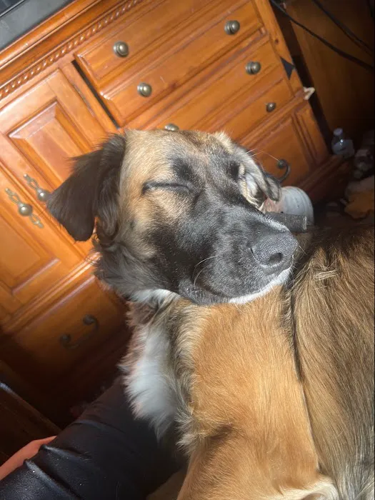 Vetco Total Care Animal Hospital Picture 3