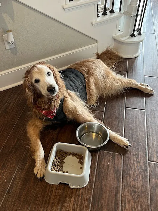 Vetco Total Care Animal Hospital Picture 5