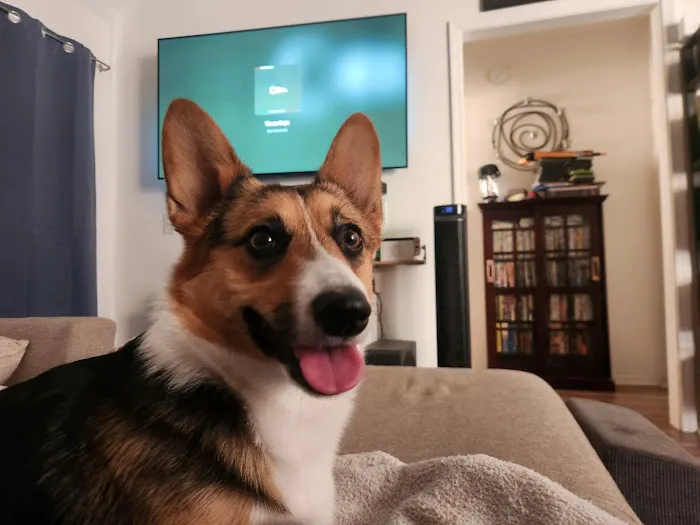 Vetco Total Care Animal Hospital Picture 6