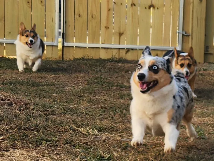 Vetco Total Care Animal Hospital Picture 7