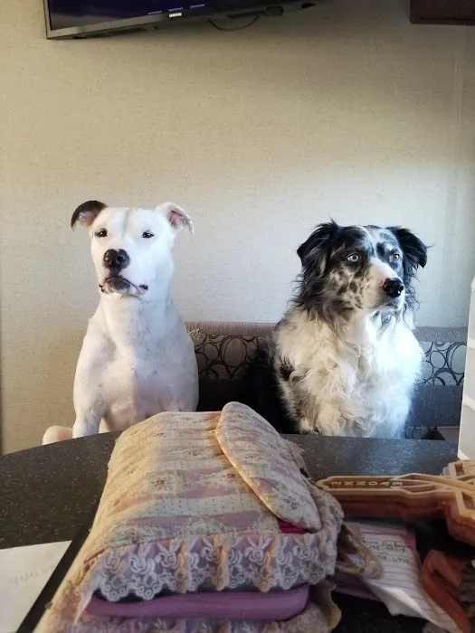 Pea Ridge Veterinary Clinic Picture 2