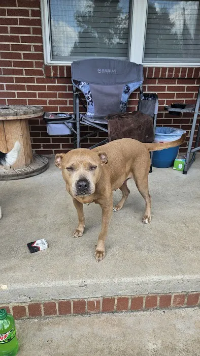 Pea Ridge Veterinary Clinic Picture 5