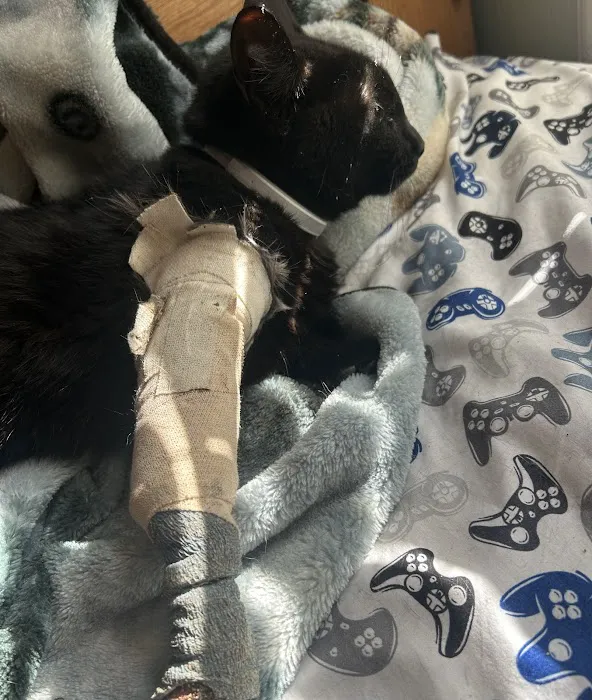 Pea Ridge Veterinary Clinic Picture 4