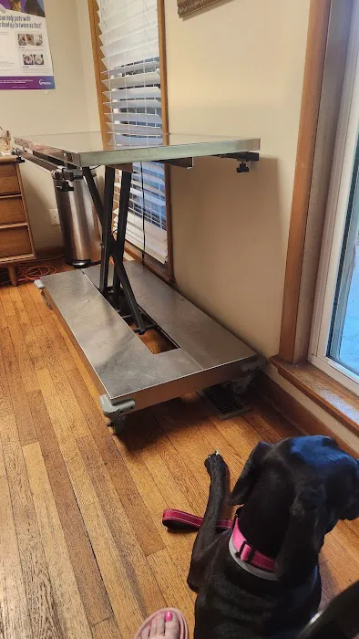 All Dogs Clinic Picture 4