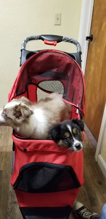 Animal Medical Center Midtown Picture 2