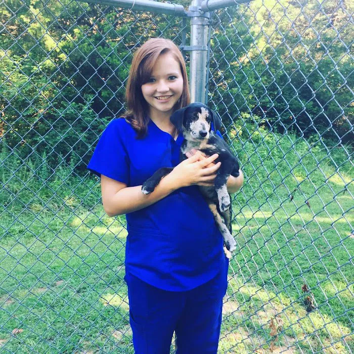 Animal Medical Center Midtown Picture 9