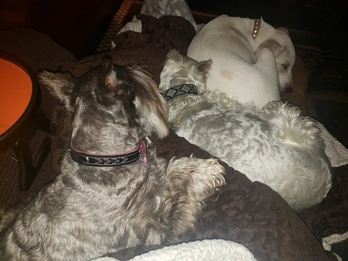 Vinita Veterinary Center Picture 1