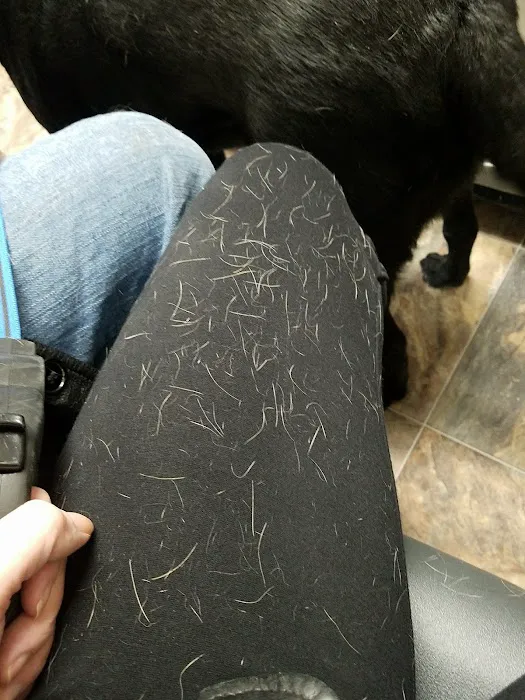 Vinita Veterinary Center Picture 3