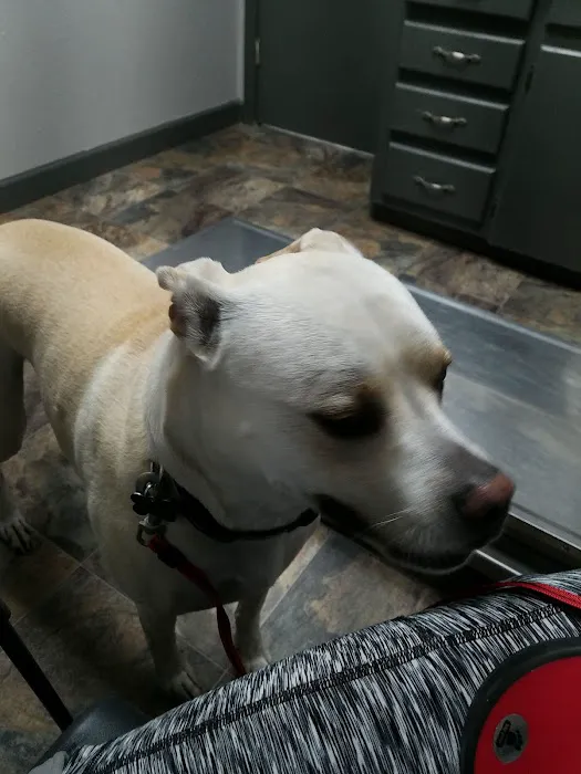 Vinita Veterinary Center Picture 6