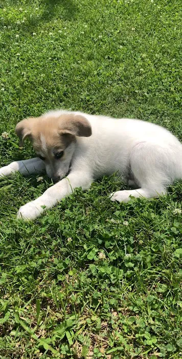 Vinita Veterinary Center Picture 4