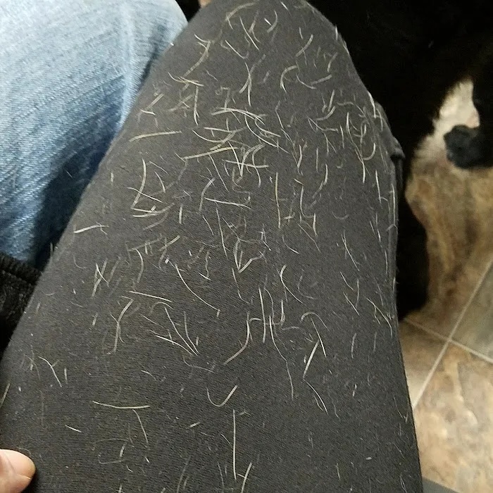 Vinita Veterinary Center Picture 5