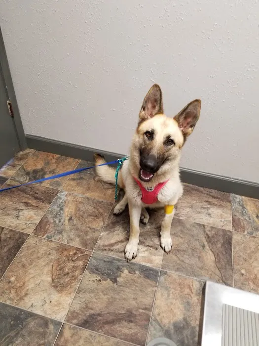 Vinita Veterinary Center Picture 7