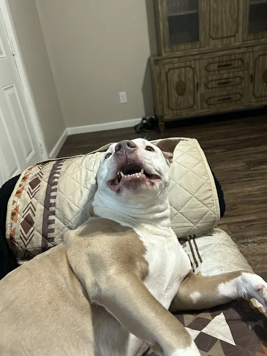 Hometown Pet Care Picture 1