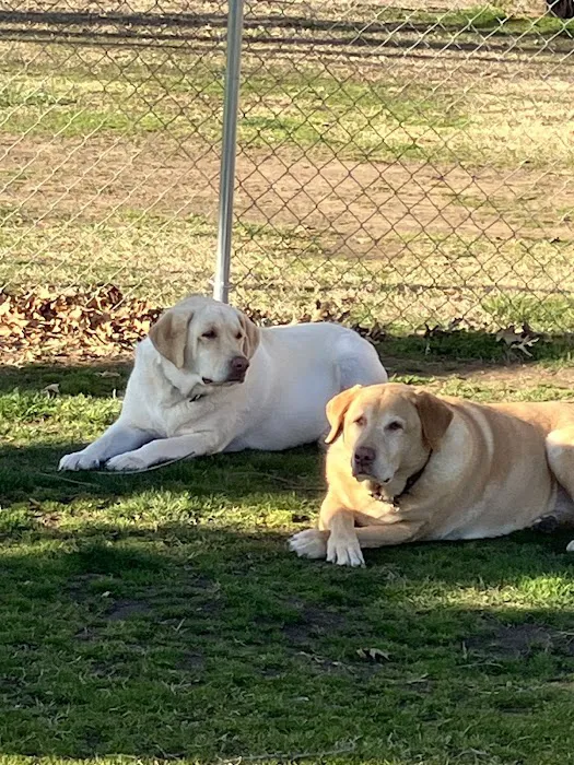 Hometown Pet Care Picture 3