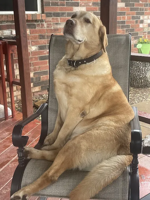 Hometown Pet Care Picture 4